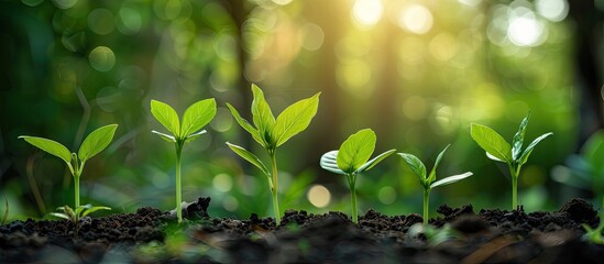 Sustainability in business refers to the concept of maintaining economic growth while protecting the environment for future generations with ample copy space image.