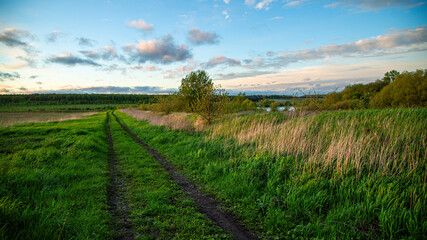 A countryside path winds through a green field at sunset, creating a serene and picturesque scene