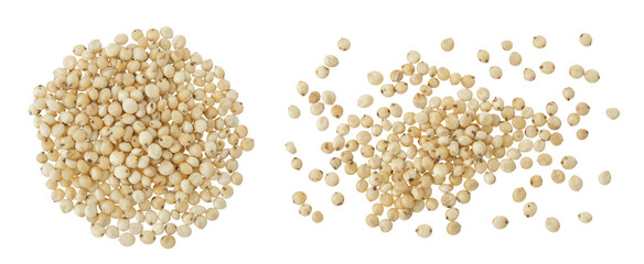 Sorghum seeds isolated on white background. Top view. Flat lay.