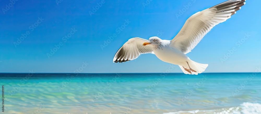 Poster a seagull soaring gracefully above the ocean with a clear blue sky background in a copy space image.