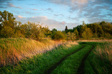 A Scenic Pathway through a Meadow lit by a Golden Sunset, creates a peaceful rural setting