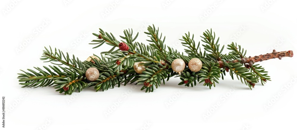 Poster fir branch adorned with glass balls on a white backdrop, suitable for a copy space image.