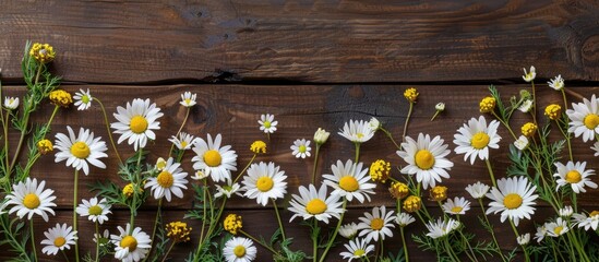 Obraz premium Top view of a creative floral flat lay on a brown wooden background with daisies and wildflowers, symbolizing a festive summer design for Mother's Day with copy space image.
