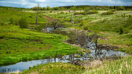 Obraz premium The wetland is scenic with green fields and a stream, creating a tranquil environment