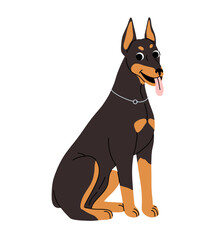 cartoon Dog in motion. Different canine breeds. Active puppies doberman, dalmatian, pomeranian, sheltie, italian greyhound, yorkshire terrier, corgi. Flat vector illustration