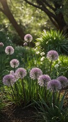 Obraz premium Amidst dappled sunlight, tall purple flowers sway gracefully in lush garden. Their spherical blooms adorn slender green stems, creating tranquil scene. Light, shadow play upon foliage.