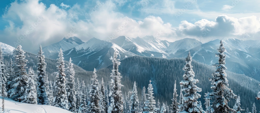 Poster snow-covered mountains and fir trees under a cloudy winter sky make for a picturesque winter mountai