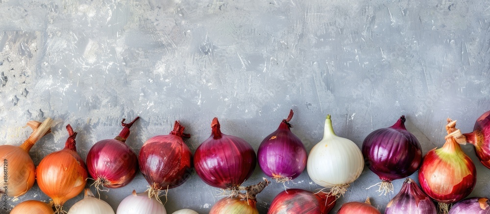 Poster A variety of onions arranged on a gray concrete surface with available copy space image.
