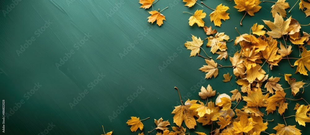 Poster a scenic view from above showing yellowed leaves on a green background, providing space for your cop