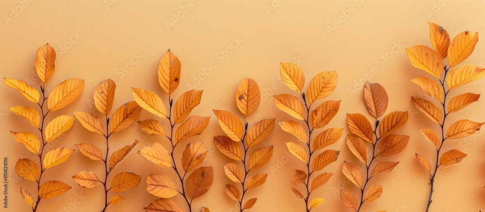 Poster A flat lay view of autumn rowan leaves in golden hues displayed on a beige backdrop with ample copy space, symbolizing the essence of the fall season.
