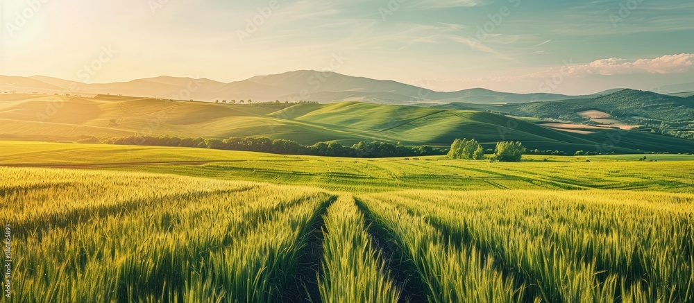 Poster rural landscape with organic farming fields providing a scenic view with copy space image opportunit