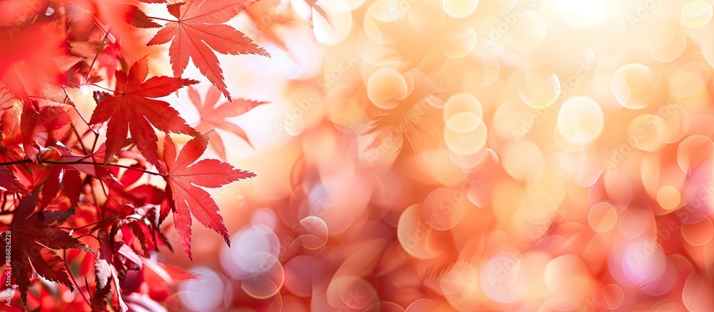 Poster selective focus on red maple leaves with a blurred background, perfect as a copy space image.