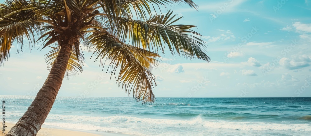 Aufkleber Close-up photo of a palm tree by the beach with a background ideal for adding text or graphics - copy space image.