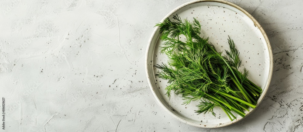 Aufkleber top view of a plate with a bunch of fresh green dill on a light grey table with a space for text wit