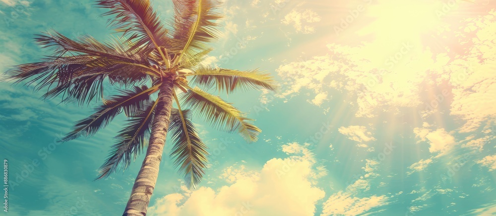 Poster vintage toned image of a tropical palm tree with sunlight against a sky backdrop, creating a serene 