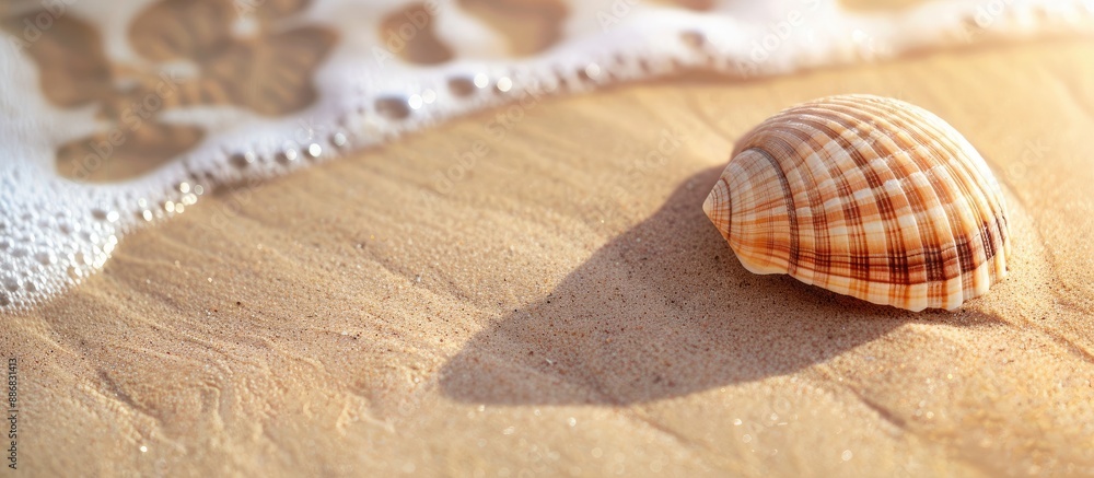 Poster seashell resting on sandy beach with room for copy space image.