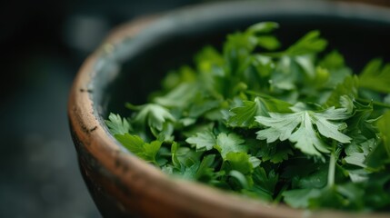 A supernatural scene where chervils feathery leaves shimmer with a silver light, imparting a subtle, mystical essence of parsley and anise to enchanted dishes