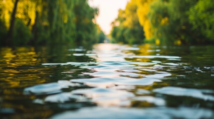 Fototapeta premium Tranquil river flowing through lush green forest in a serene natural setting during golden hour with sunlight reflecting on the water's surface.