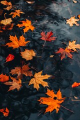 A photo of a pond with leaves floating on the surface. The leaves are orange and brown, and they are scattered throughout the water. The image has a peaceful and serene mood