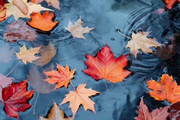 A pond full of leaves floating on the water. The leaves are orange and red, and they are scattered all over the pond. The scene has a peaceful and serene mood, as the leaves gently float on the water