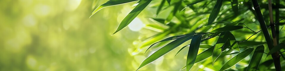 Naklejka premium A green leafy plant with a bright green background