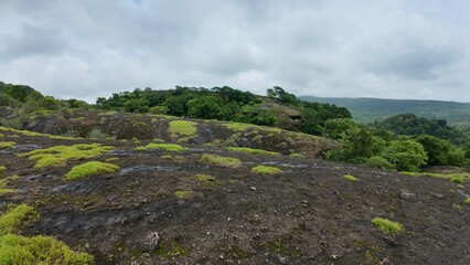Green Patches on Rocky Terrain Under Cloudy Sky