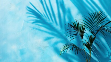   Palm shadows on blue wall with palm tree shadow in foreground