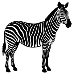 Vector Silhouette of Zebra