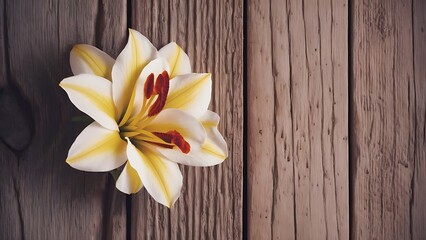 Alstromeria on wooden background