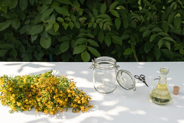 Preparation of St. John's wort oil from fresh blooming Hypericum perforatum plant .