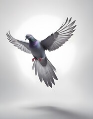 dove in flight
