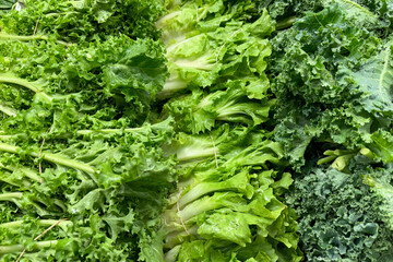pile of fresh green leafy vegetables, including lettuce and kale