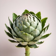 Fototapeta premium artichoke on a green background