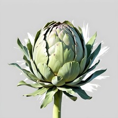 Obraz premium artichoke on a green background