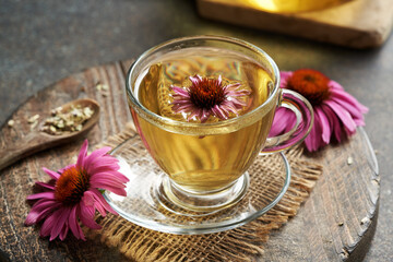 Echinacea tea in a transparent glass cup with coneflowers