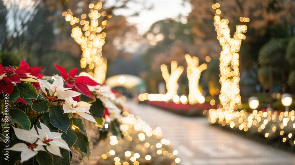 Poster A path with a row of trees and a row of red and white flowers. The trees are lit up with lights