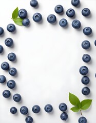 Fototapeta premium frame of blueberries