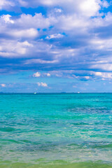 Tropical Caribbean beach sea clear water Playa del Carmen Mexico.