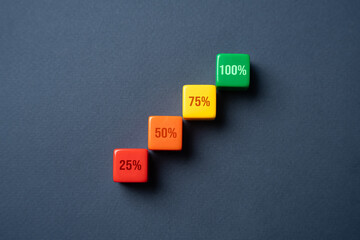 Growing percentages up to 100. Progress bar. Breaking progress into stages. Evaluation of the quality of services and satisfaction. Completion of the mission task. Maximum efficiency.