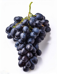 Fresh Black Grapes Isolated on White Background