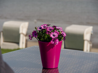 Wilhelmshaven an der Nordsee