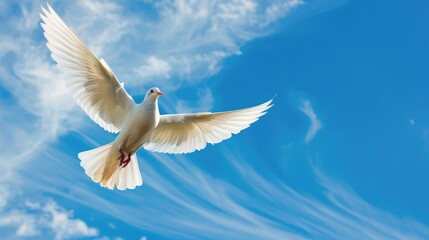 Bird in flight against blue sky with copy space below