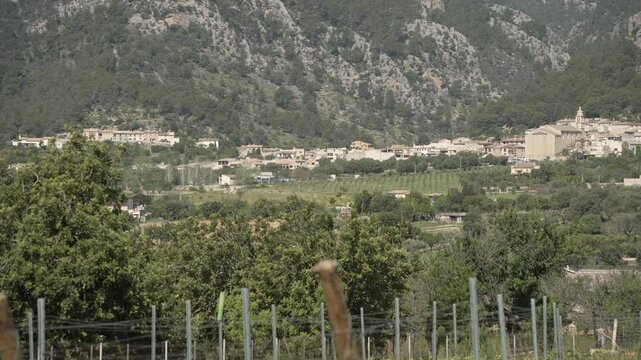 View of vineyard and hilltop town of Caimari and vineyard, Majorca, Balearic Islands, Spain, Mediterranean, Europe