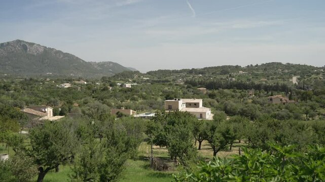 View of countryside and olive trees near hilltop town of Caimari, Majorca, Balearic Islands, Spain, Mediterranean, Europe