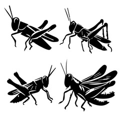 Grasshopper - Hopping