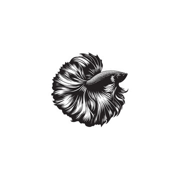 recommend clip art: Betta Fish silhouette