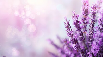  A tight shot of a bouquet of flowers against a softly blurred backdrop, with a speck of bright light, or bokeh, visible in the background