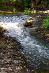 corredeira de um pequeno rio as margens de parque, em Brisbane Austrália