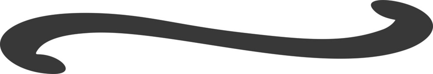 Swoosh line. Swirl stroke and underline. Swash hand drawn calligraphic element. Decorative curve squiggle. Black paint brushstroke