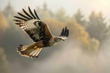 A close-up of a Red Kite, with a contemplative look, set against a muted sky in the serene fields of Lleida. Beautiful simple AI generated image in 4K, unique.